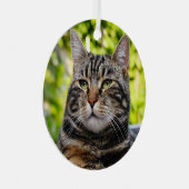 Tabby Gris Chat Métal Ornement (Avant droite)