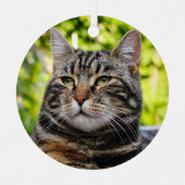 Tabby Gris Chat Métal Ornement (Recto)