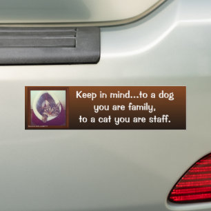 Tabby in A Hut Bumpersticker