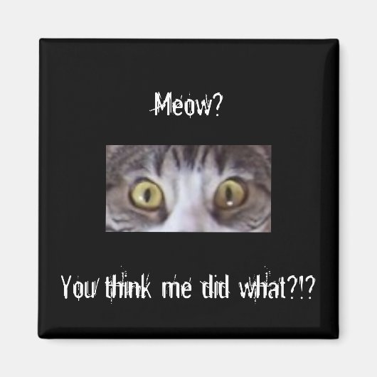 Tabby kat brede ogen magneet (Voorkant)