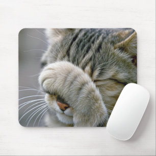 Tabby Kat Humor Muismat