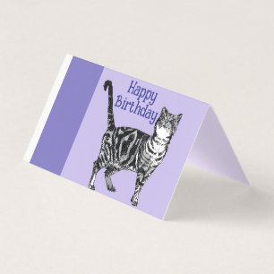 Tabby Kat Katten Paarse Huisdieren Meisjes Naam Ve Kaart