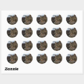 Tabby kat klaar voor actie ronde sticker (Vel)