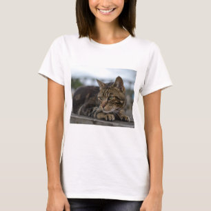 Tabby kat klaar voor actie t-shirt