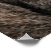 Tabby kat met groene ogen tegen zwarte achtergrond poster (Hoek)