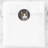Tabby kat met groene ogen tegen zwarte achtergrond ronde sticker (Tas)