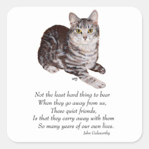 Tabby Kat Regenboogbrug Vierkante Sticker