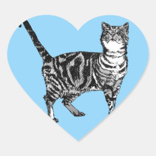 Tabby Kat Stickers Blauwe katten Stickers Set