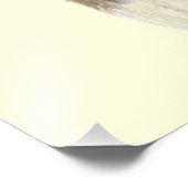 Tabby Kitten 24x36 Poster (Coin)