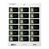 Tabby Kitten Adresetiketten Etiket (Full Sheet)