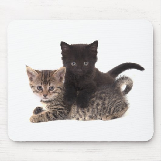 tabby kitten black kitten muismat (Voorkant)