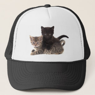 tabby kitten black kitten trucker pet