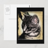 Tabby Kitten Briefkaart (Voorkant / Achterkant)