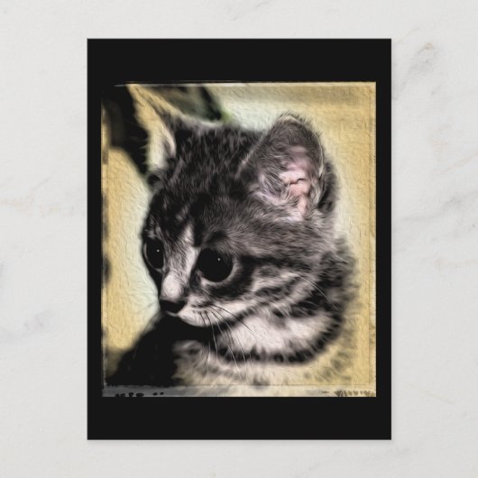 Tabby Kitten Briefkaart (Voorkant)