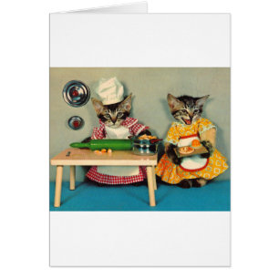 tabby kitten chef. en tabby kitten assistent