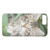 Tabby Kitten iPhone 7 plus coque (Dos (Horizontal))