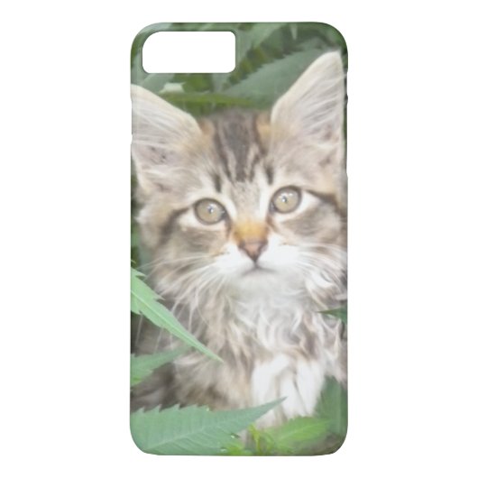 Tabby Kitten iPhone 7 plus hoesje (Achterkant)