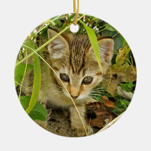 Tabby kitten keramisch ornament (Voorkant)