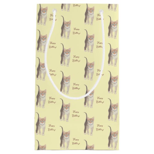 Tabby Kitten Klein Cadeauzakje (Voorkant)