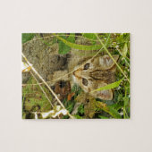 Tabby kitten legpuzzel (Horizontaal)