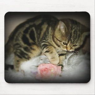Tabby kitten mousepad muismat