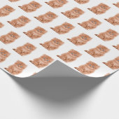 Tabby Kitten op wit Cadeaupapier (Hoek)