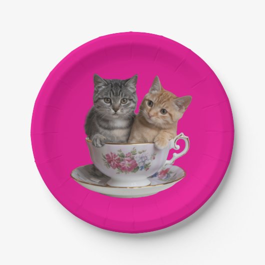 Tabby Kitten Paper Bord (Voorkant)