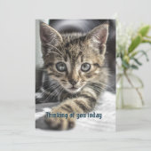 Tabby Kitten Penser à votre carte de message (Debout devant)