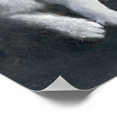 Tabby Kitten Poster (Hoek)