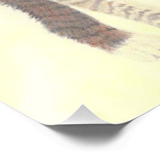 Tabby Kitten Poster (Coin)