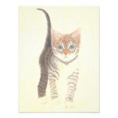 Tabby Kitten Poster (Devant)