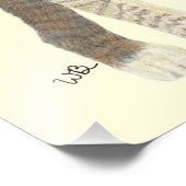 Tabby Kitten Poster (Hoek)