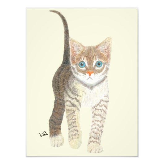 Tabby Kitten Poster (Voorkant)
