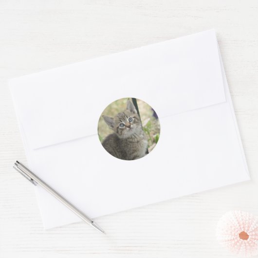 Tabby kitten stickers (Envelop)