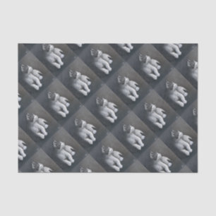 Tabby Kitten Tissuepapier