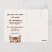 Tabby kitten voor huisdier examen briefkaart (Achterkant)
