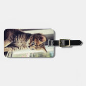 Tabby Kitten Watching Bagagelabel (Voorkant horizontaal)