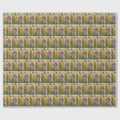 Tabby Kittens in zomerweide Cadeaupapier (Vlak)