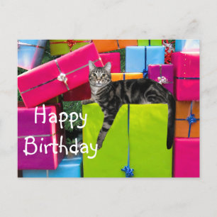 Tabby kitty cat jarig briefkaart