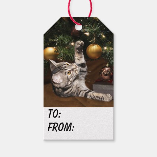 Tabby kitty met kerstmis cadeaulabel (Voorkant)