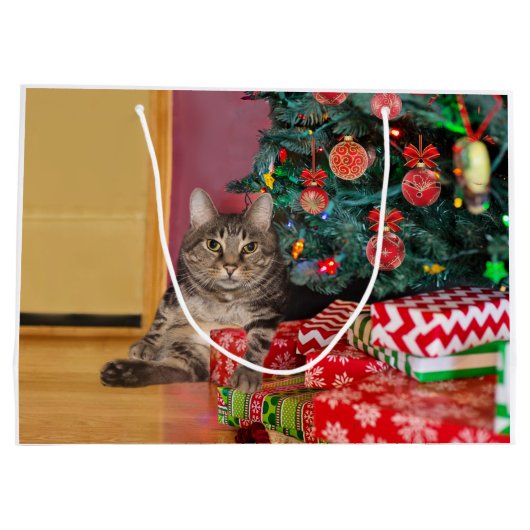 Tabby kitty met kerstmis groot cadeauzakje (Achterkant)