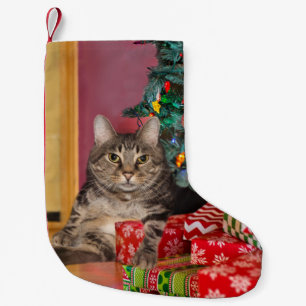 Tabby kitty met kerstmis kleine kerstsok