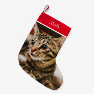 Tabby look (Aanpassen) Kleine Kerstsok