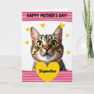 Tabby Moederdag kaart