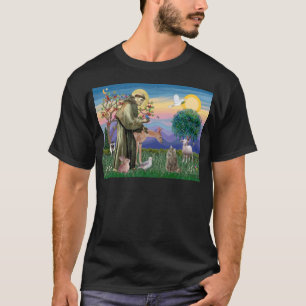 Tabby Noorse Boskat - Sint Franciscus T-shirt