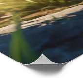 *~* TABBY observeren Kitty kat 5:4 katje Poster (Hoek)