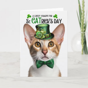 Tabby Oosters Korthaar Kat St CATrick's Day Feestdagen Kaart