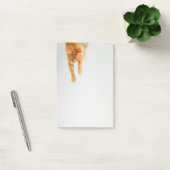 Tabby orange Post-it® Notes 4 x 6 (Bureau)