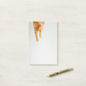 Tabby orange Post-it® Notes 4 x 6 (Sur un bureau)