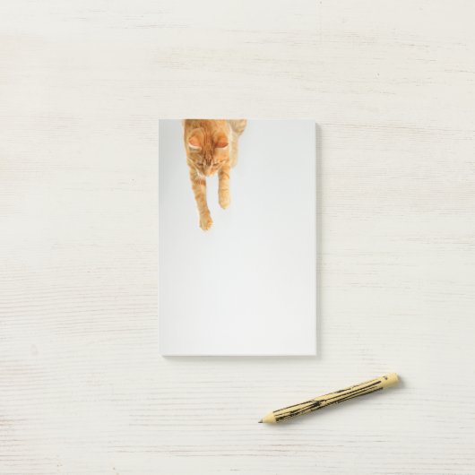 Tabby orange Post-it® Notes 4 x 6 (Sur un bureau)